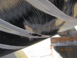 171127 79 Pontiac Trans Am (5).JPG